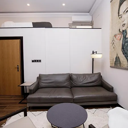 Apartment Beautiful Cosy Modern ,19th Century Building